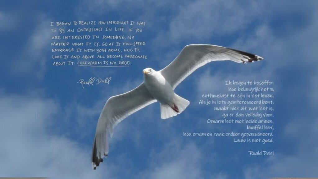 Jonathan Livingston Seagull: 5 Inspiring Life Lessons
