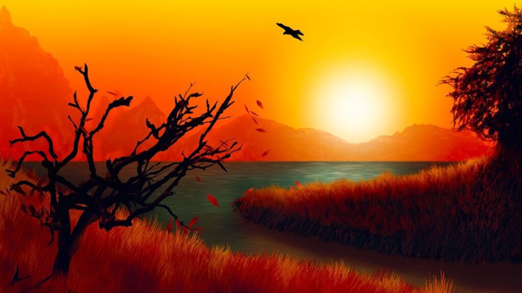 Jonathan Livingston Seagull: 5 Inspiring Life Lessons