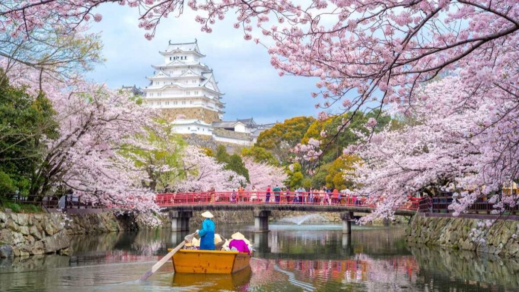 Japan Tourism Boom: Experiential Tours, Drift Racing & Bar Crawls Drive Record Visitors