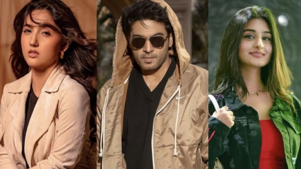 Bigg Boss 19 Contestants 2025: 12 Amazing Stars Revealed