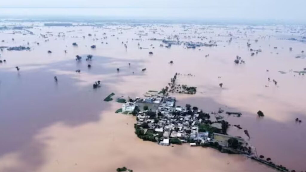 Punjab Flood: PM Modi's Big 5 Relief Steps