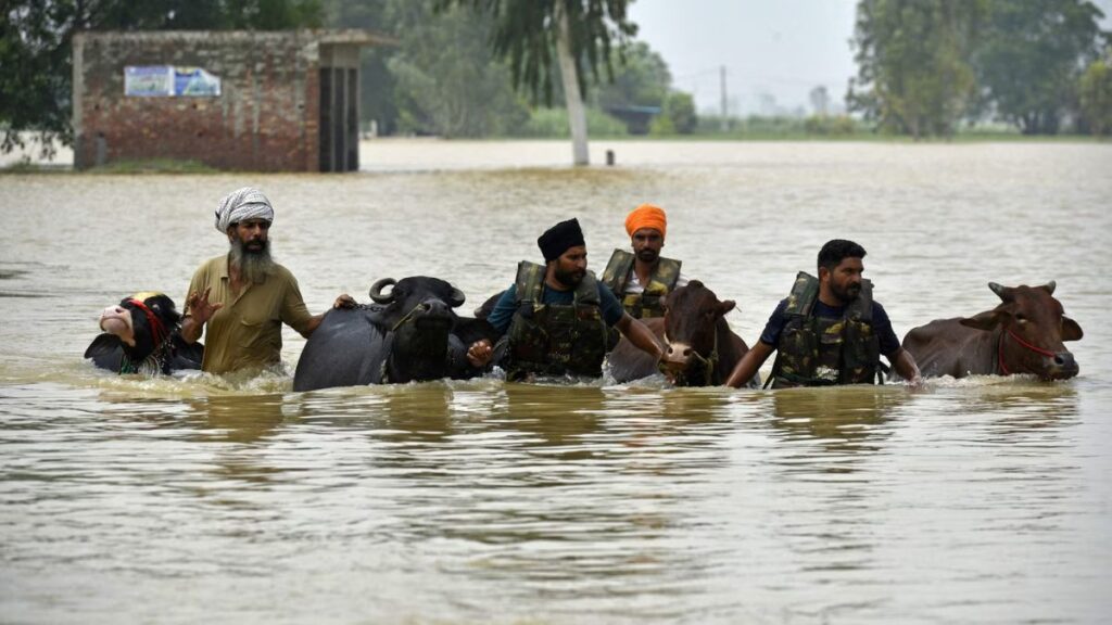 Punjab Flood: PM Modi's Big 5 Relief Steps