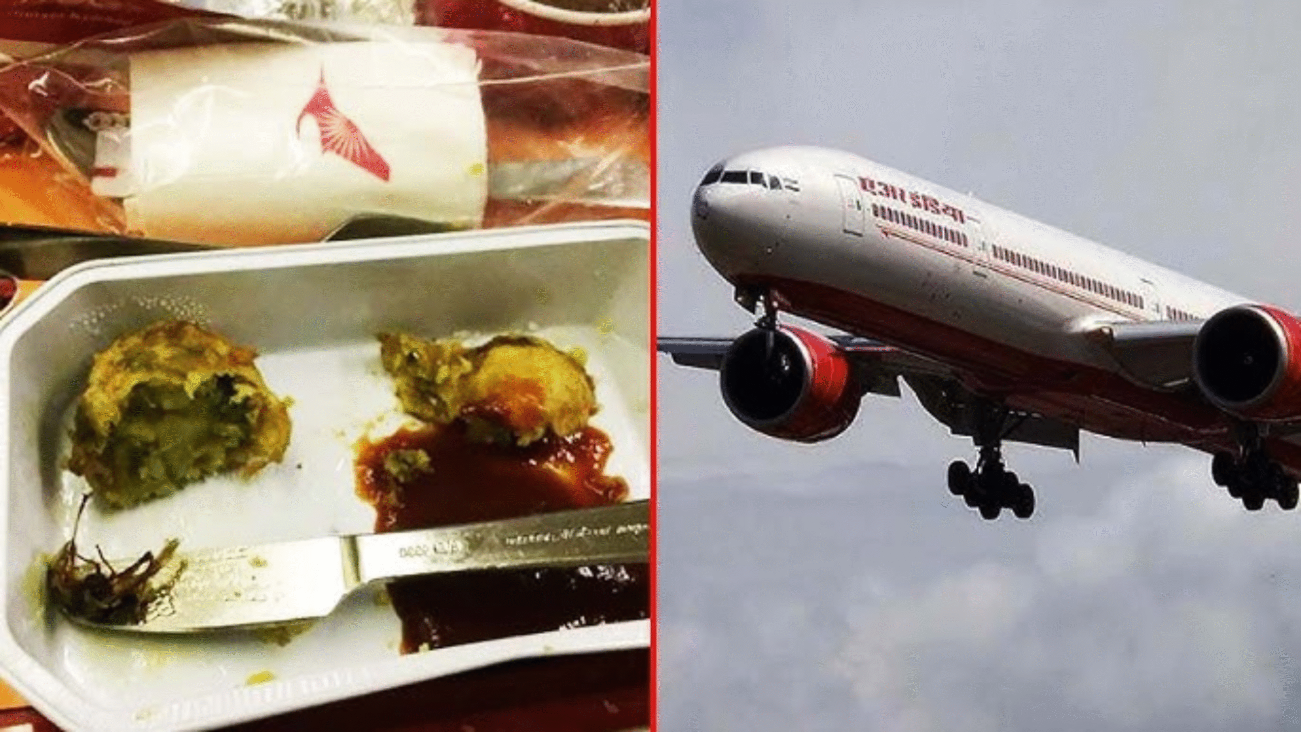 Air India Logbook Entry About Cockroach 5 Powerful Reactions