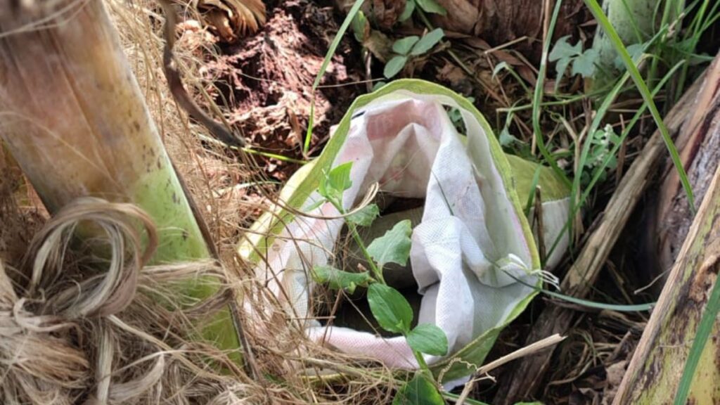 Murshidabad Drone Operation 150 Bombs Safe Triumph