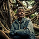 Hally War 7 Inspiring Secrets of Living Bridges