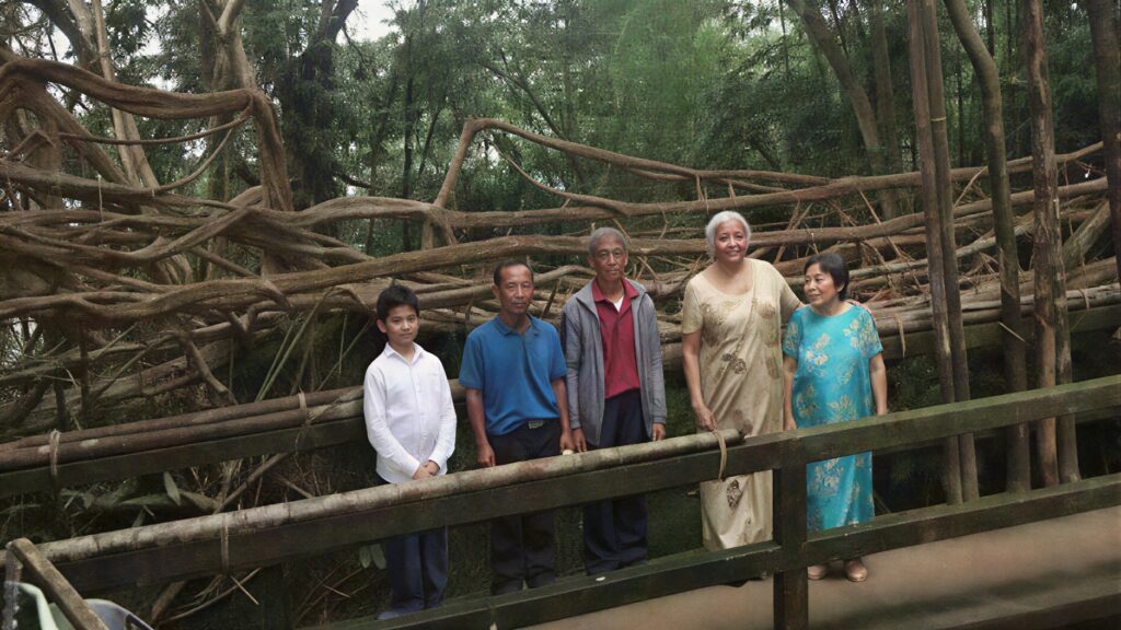 Hally War 7 Inspiring Secrets of Living Bridges