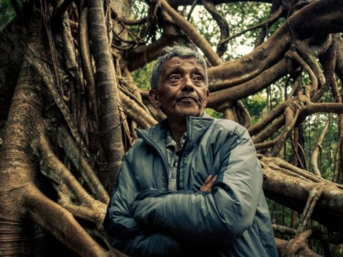 Hally War 7 Inspiring Secrets of Living Bridges